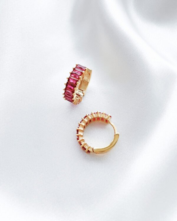 Rožinės spalvos hoops auskarai