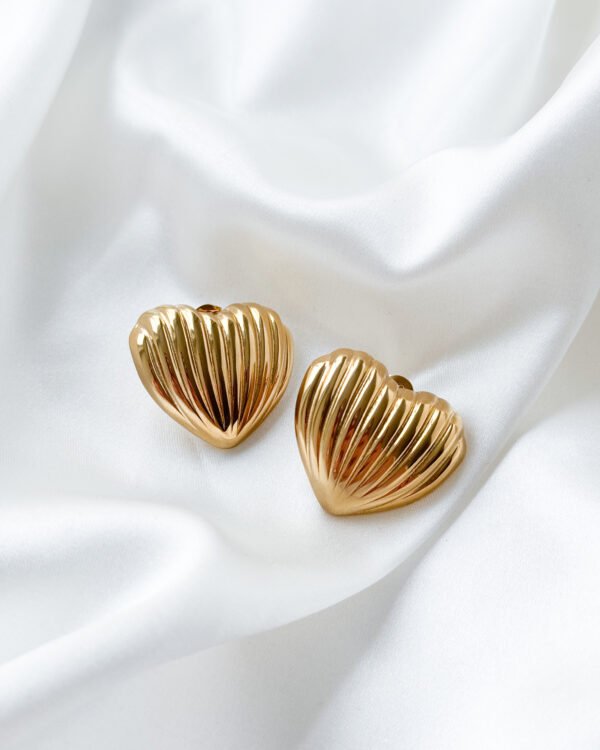 Širdelės formos auskarai moterims iš nerūdijančios plieno.