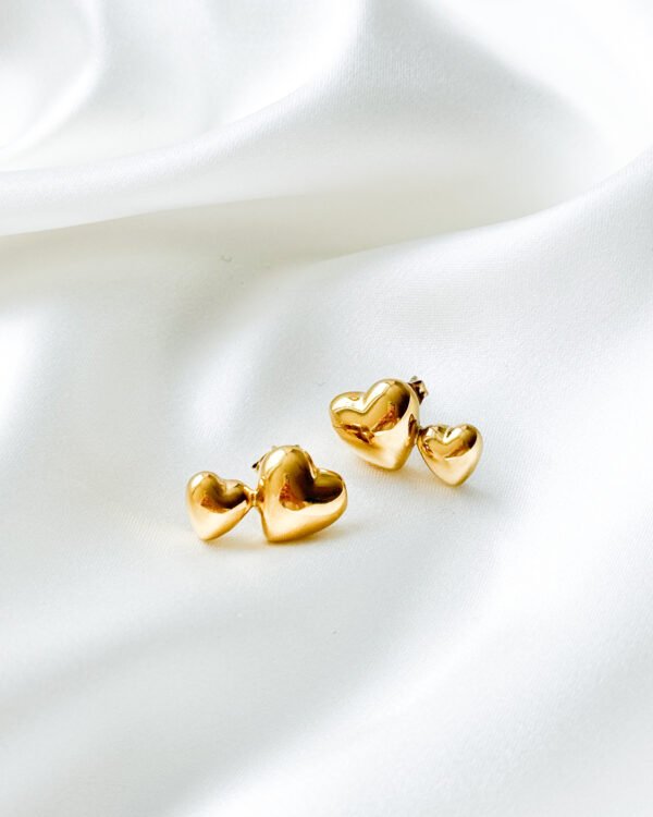 Dvigubos širdelės formos auskarai iš nerūdijančio plieno.